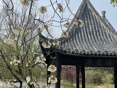 -八大山人梅湖景区