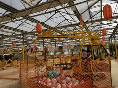 -南宫五洲植物乐园