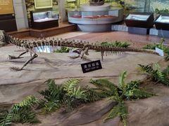 -自贡恐龙博物馆