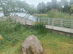 -美兰湖景区