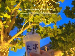 -天津五大道文化旅游区