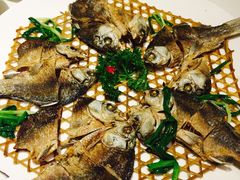 葱酥鲫鱼-巴陵全鱼席(湖南老字号汴河街店 )