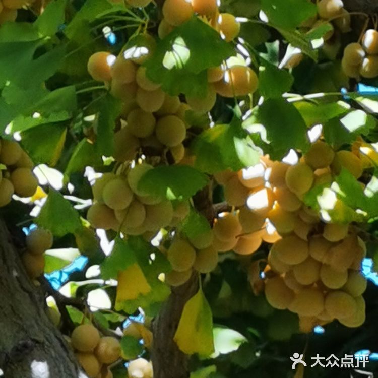 将军府位于兴城古城内东南隅