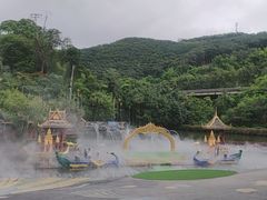 -西双版纳原始森林公园