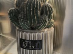 -CoCo都可(360丰产店)