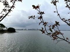 -上海滴水湖皇冠假日酒店