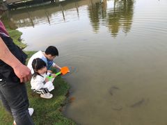 -迪茵湖田家舍生态农场