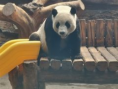 -石家庄市动物园