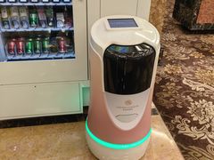 -上海浦东星河湾酒店