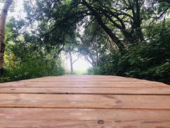 -白草畔自然风景区