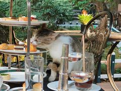 -马勒别墅·中餐厅