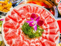 -蓉城老院十年老火锅(中南店)