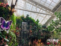 -正佳雨林生态植物园