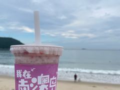 -南澳岛打卡果汁冰公司