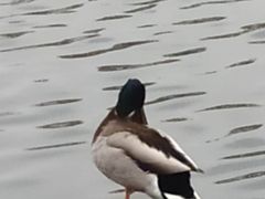 -后海公园