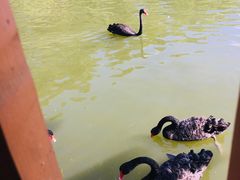 -泉州海丝野生动物世界