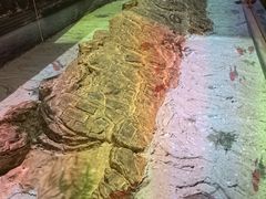 -白鹤梁水下博物馆