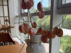 -墨宴(西洋湖店)