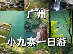 -广州白江湖森林公园