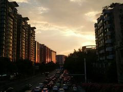 -禅悦素食
