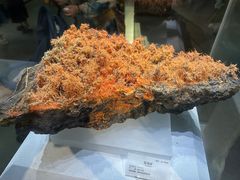 -湖南省地质博物馆