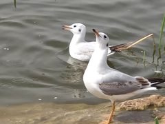 -呈贡滇池生态湿地公园