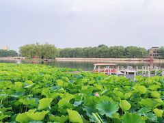 -同和居(什刹海店)