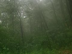 -吉林市朱雀山国家森林公园