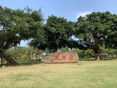 -万绿园