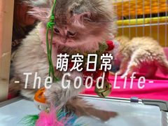 -仲盛世界商城