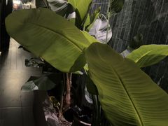 -涟LIAN·泰式按摩·MASSAGE·SPA(华强北店)