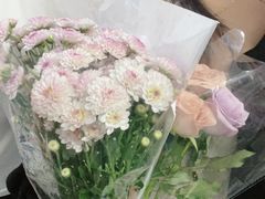 -循礼门鲜花花市(武汉循礼门店)