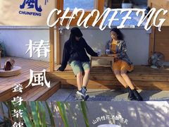 山药桂花酒酿牛乳-椿风·养身茶饮(吉大店)