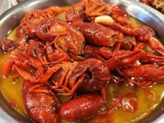 清水龙虾-袁老大龙虾(石鼓路总店)