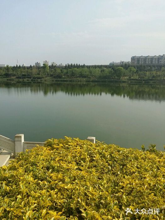 琴亭湖公园android_upload_pic图片
