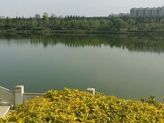android_upload_pic-琴亭湖公园