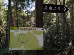 -青龙山国家森林公园