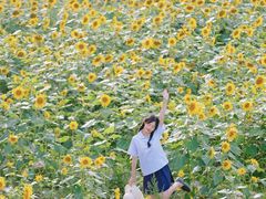 -永康森林公园