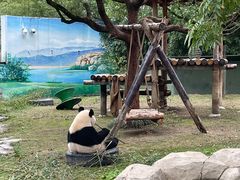 -上海野生动物园