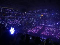 -南京奥林匹克体育中心-体育馆