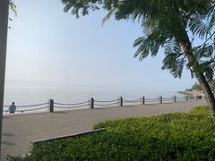 -深圳湾公园(南山区)