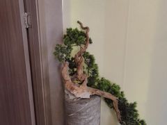-Scripter诡局沉浸式推理馆