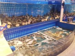 水产区-乔哥铭洋海鲜自助(皇城恒隆广场店)