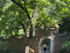-北京鹫峰国家森林公园