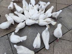 -西安世博园