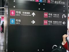 -东方体育中心(地铁站)
