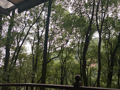 -巴倒烫陆派重庆火锅(南山店)
