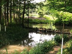 -桤木河湿地公园