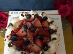 -维尔纳斯·生日蛋糕动物奶油冰淇淋蛋糕(人大店)