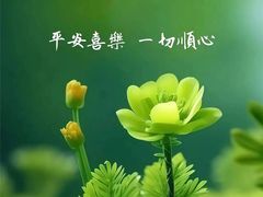 -中国福利会少年宫